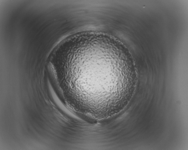 X0000083021170200702091309