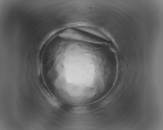 X0000083021171200702091309