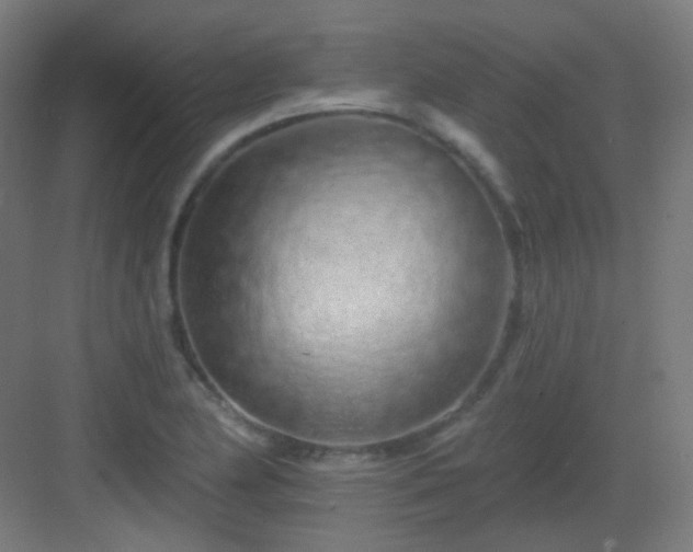 X0000083021174200702091309