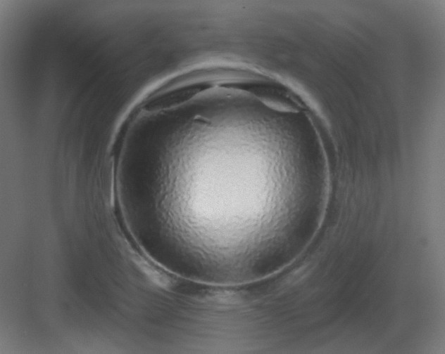 X0000083021175200702091309