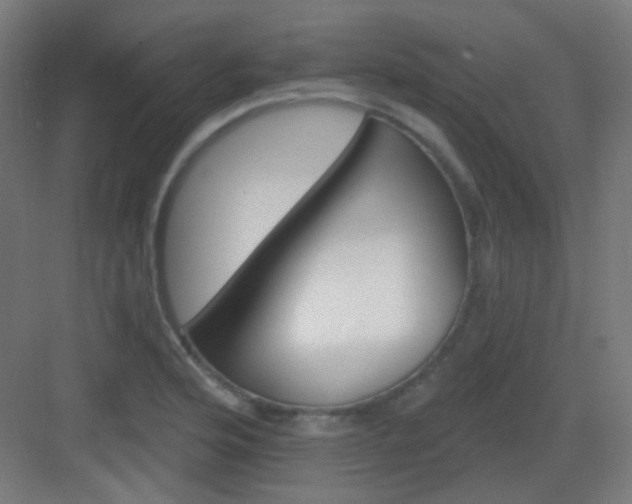 X0000083021176200702091309