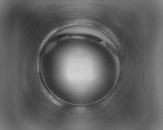 X0000083021180200702091309