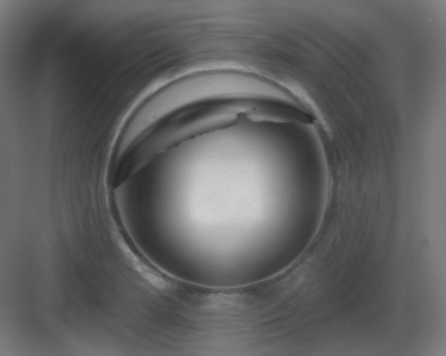 X0000083021181200702091309