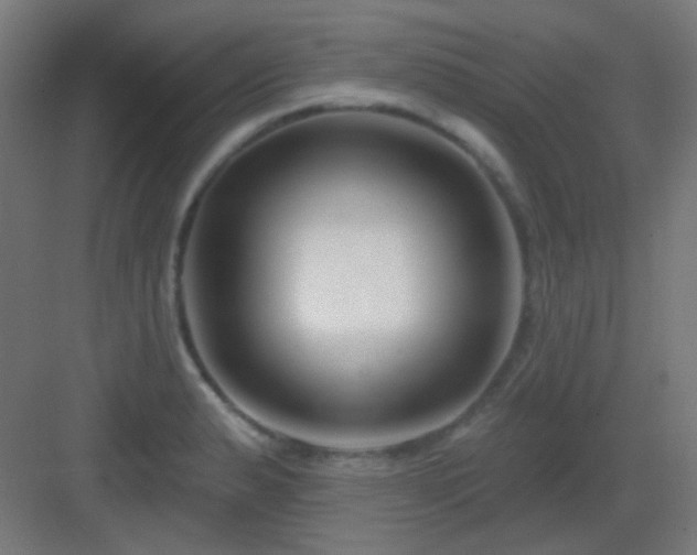 X0000083021183200702091309