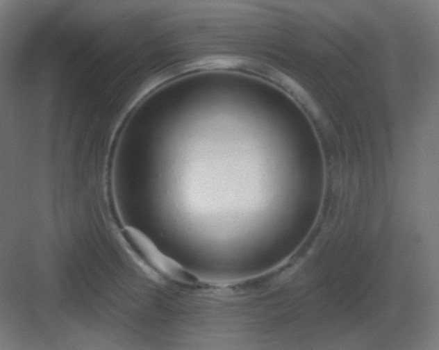 X0000083021186200702091309