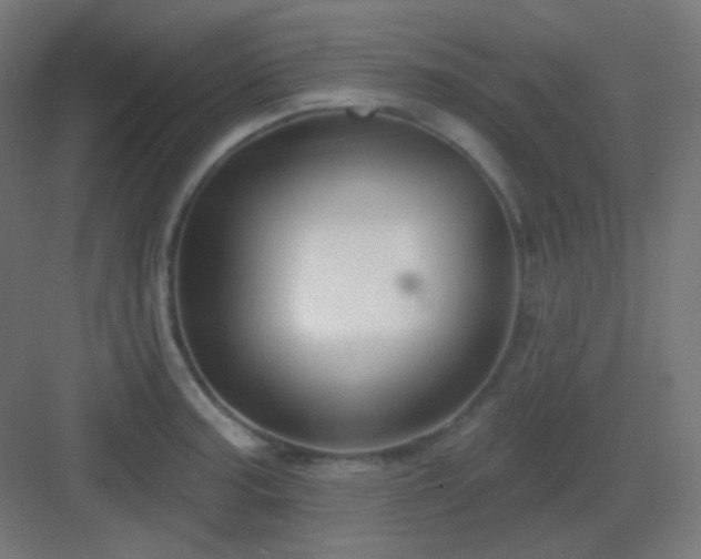 X0000083021187200702091309