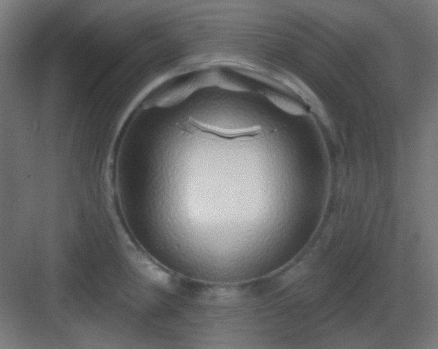 X0000083021190200702091309