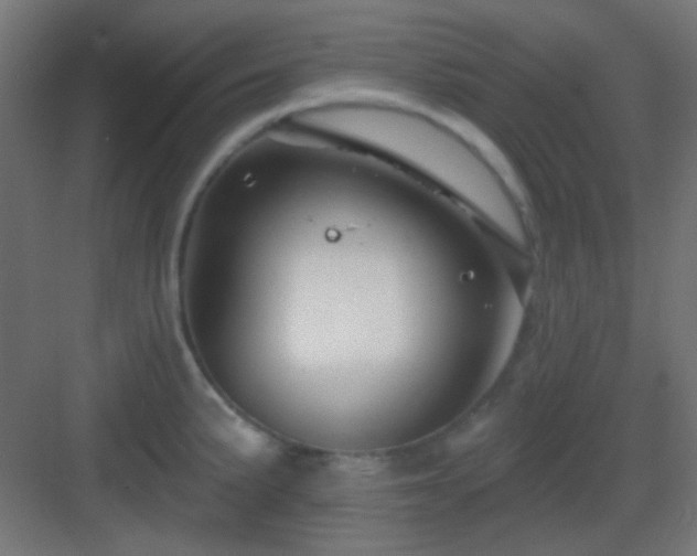 X0000083021191200702091309