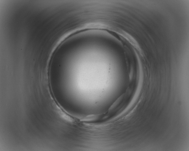 X0000083021192200702091309