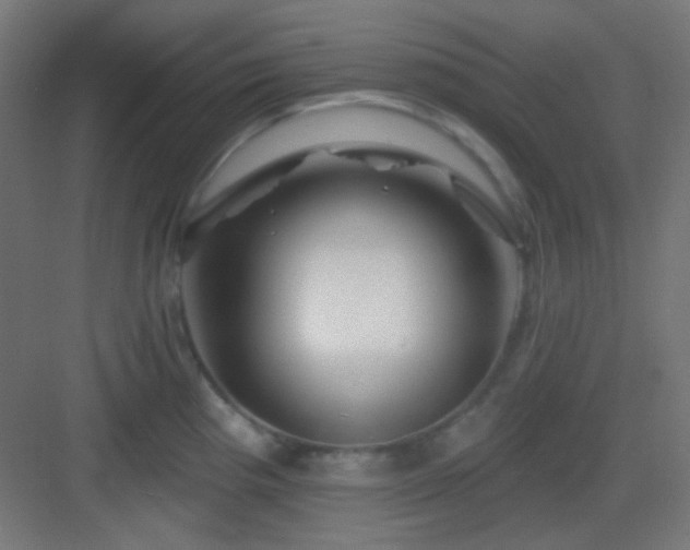 X0000083021193200702091309