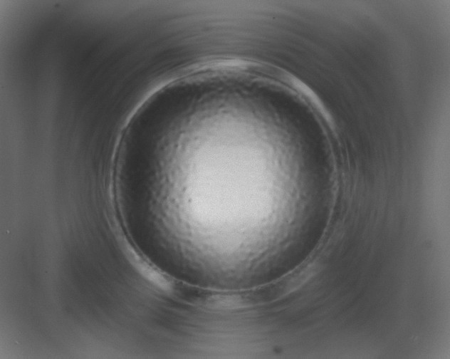 X0000083021194200702091309