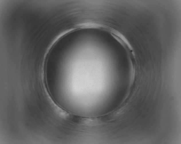 X0000083021195200702091309