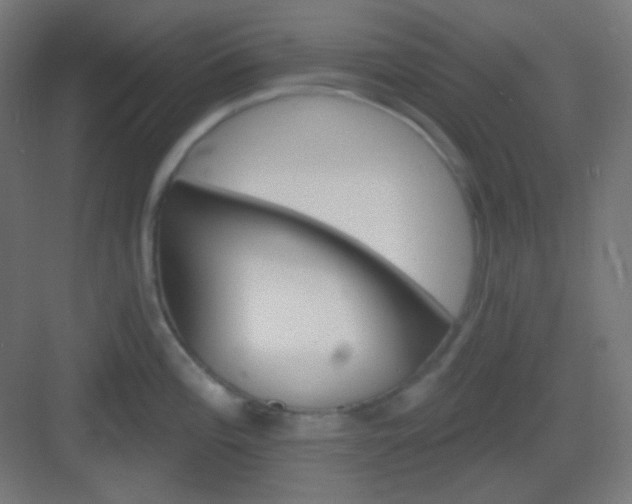 X0000083021196200702091309