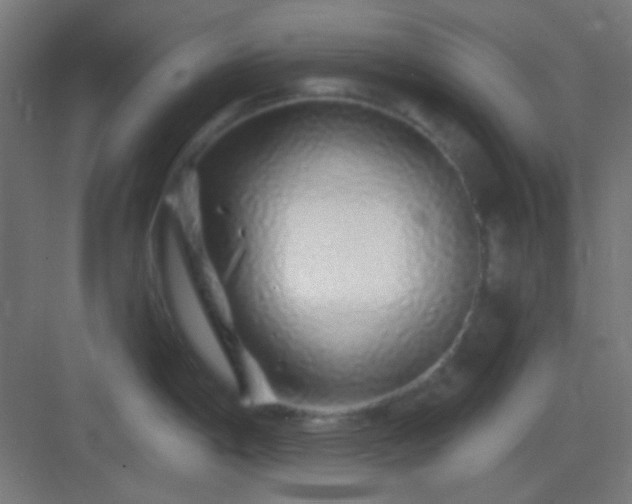 X0000083021198200702091309