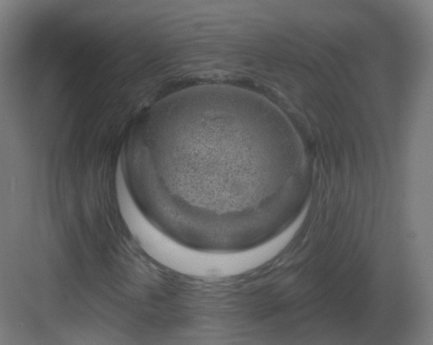 X0000083021202200702091308
