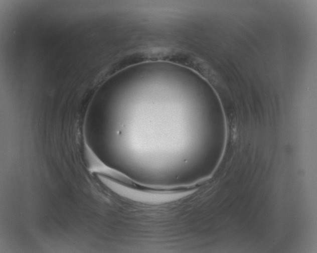 X0000083021204200702091308