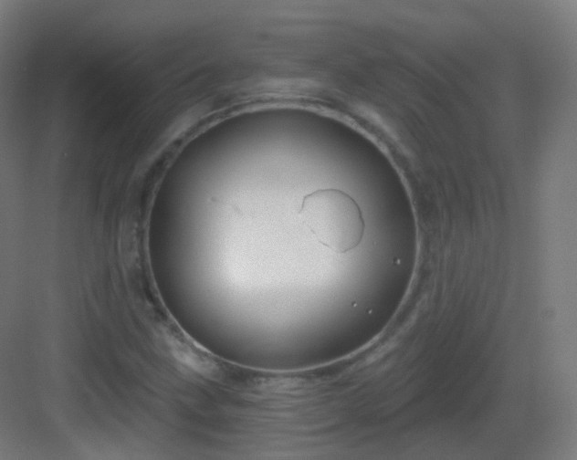X0000083021211200702091308