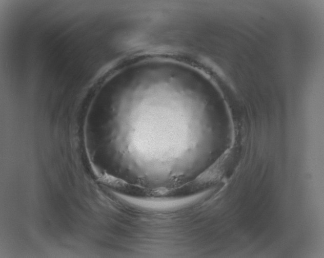 X0000083021213200702091308