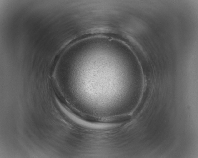 X0000083021217200702091308