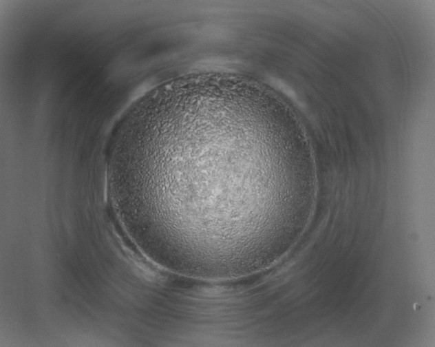 X0000083021219200702091308