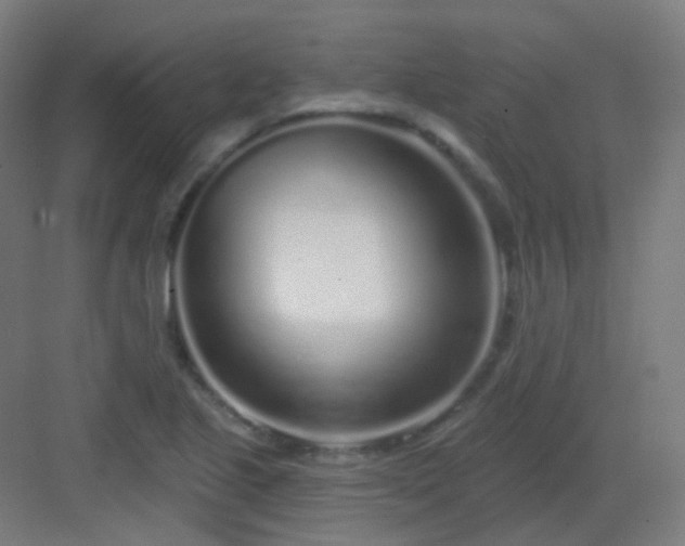 X0000083021221200702091308