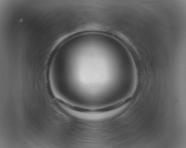 X0000083021222200702091308
