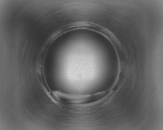 X0000083021225200702091308