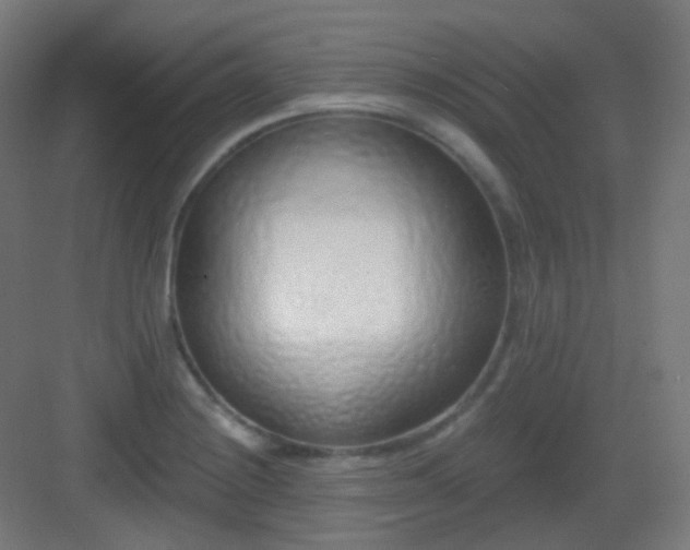 X0000083021228200702091308