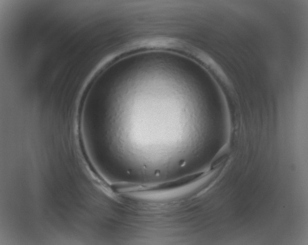 X0000083021232200702091308