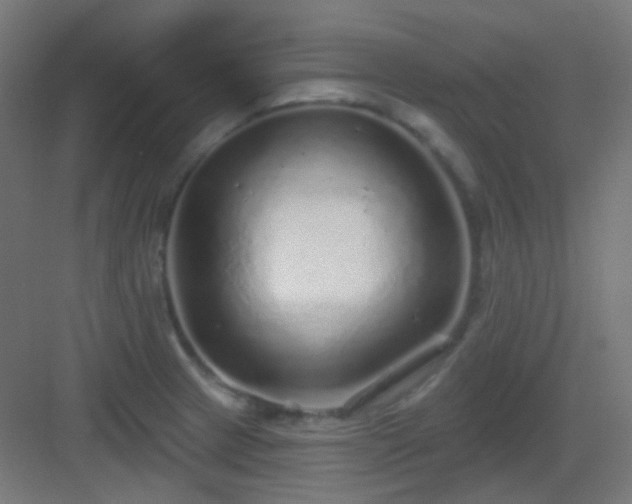 X0000083021233200702091308