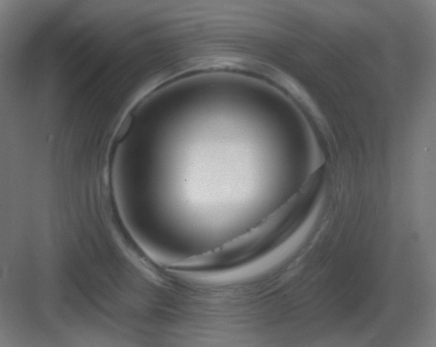 X0000083021234200702091308