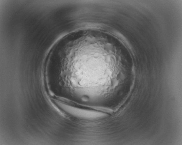 X0000083021235200702091308