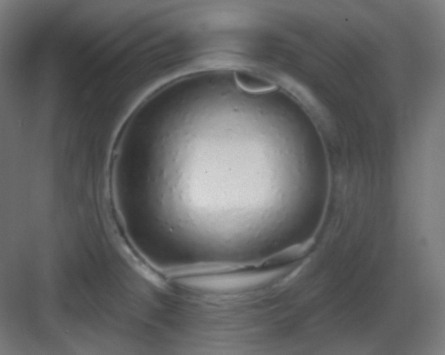 X0000083021236200702091308