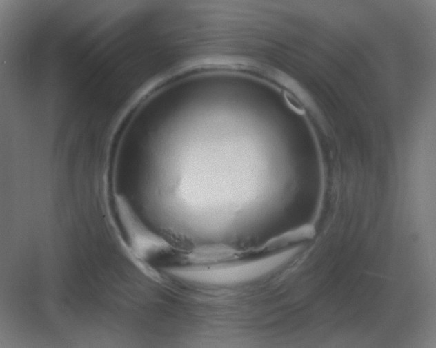 X0000083021237200702091308