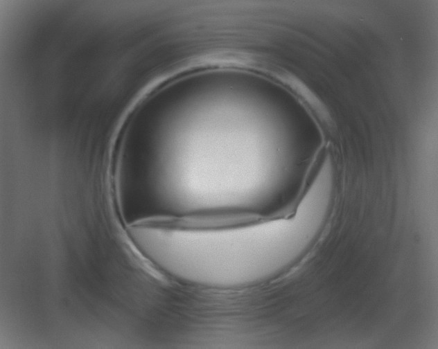 X0000083021240200702091308