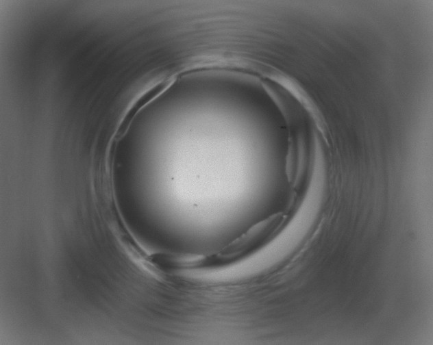 X0000083021242200702091308