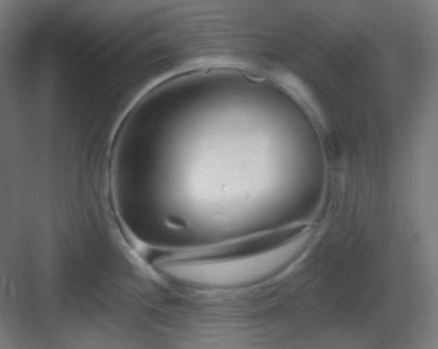 X0000083021244200702091308