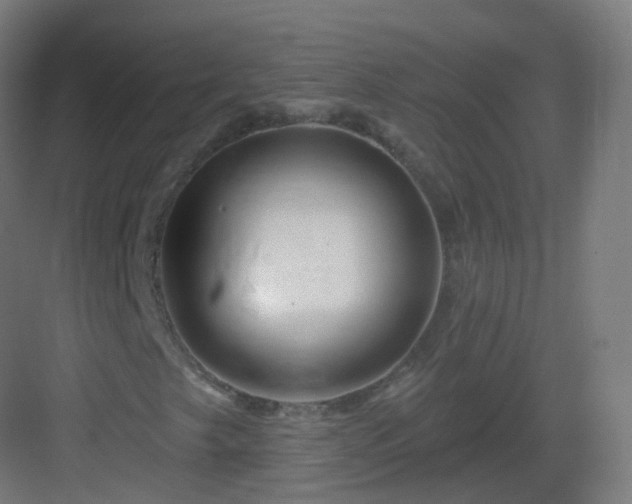 X0000083021249200702091308