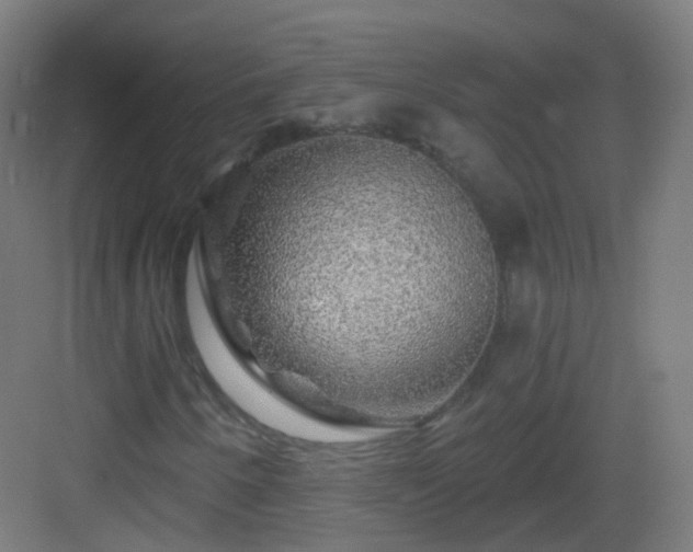 X0000083021250200702091308