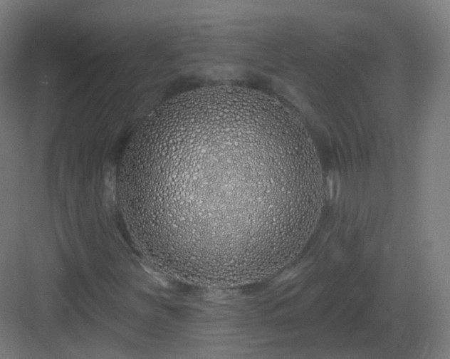 X0000083021251200702091308