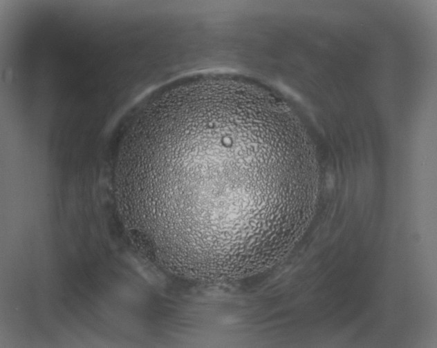 X0000083021255200702091307
