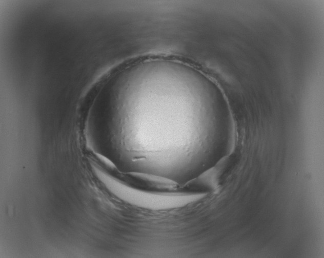 X0000083021256200702091307