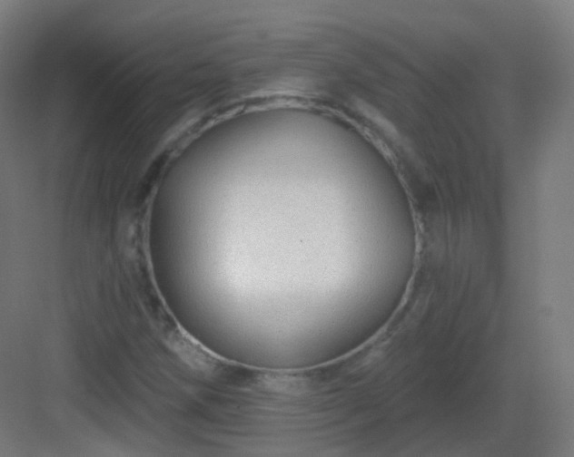 X0000083021258200702091307