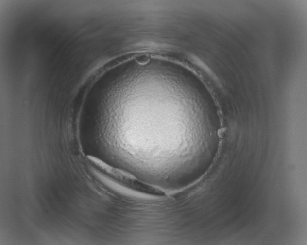 X0000083021259200702091307