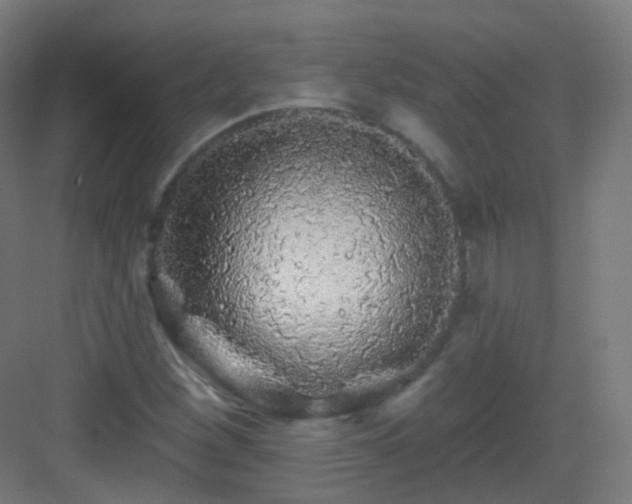X0000083021260200702091307