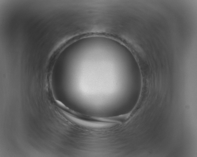 X0000083021262200702091307