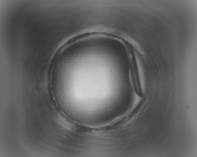 X0000083021264200702091307