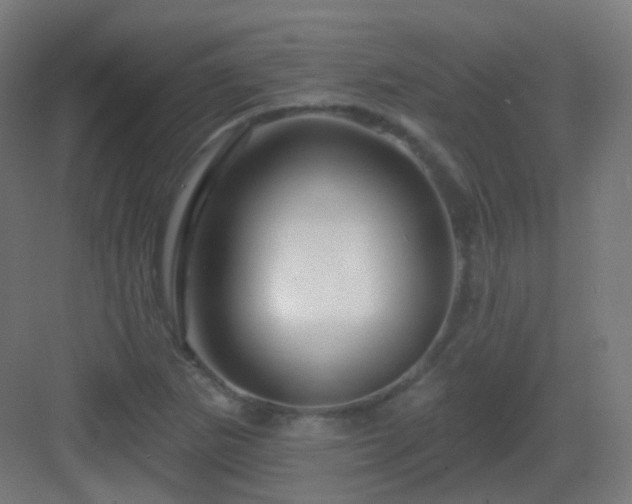 X0000083021265200702091307