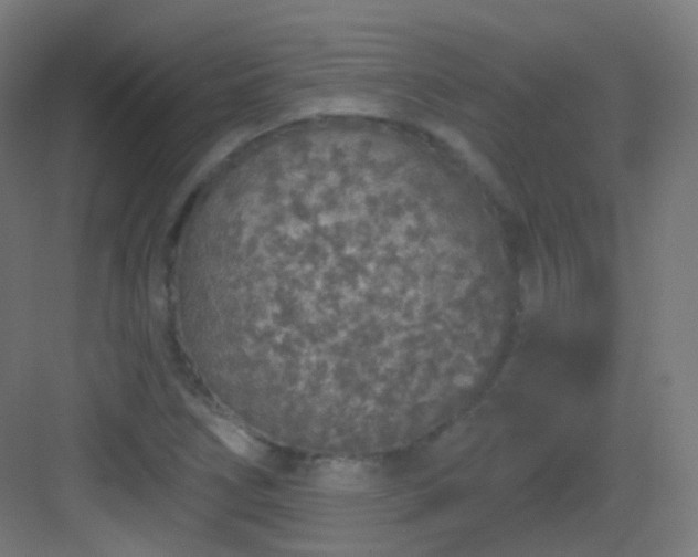 X0000083021266200702091307