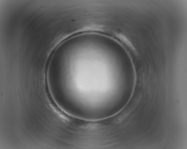 X0000083021268200702091307